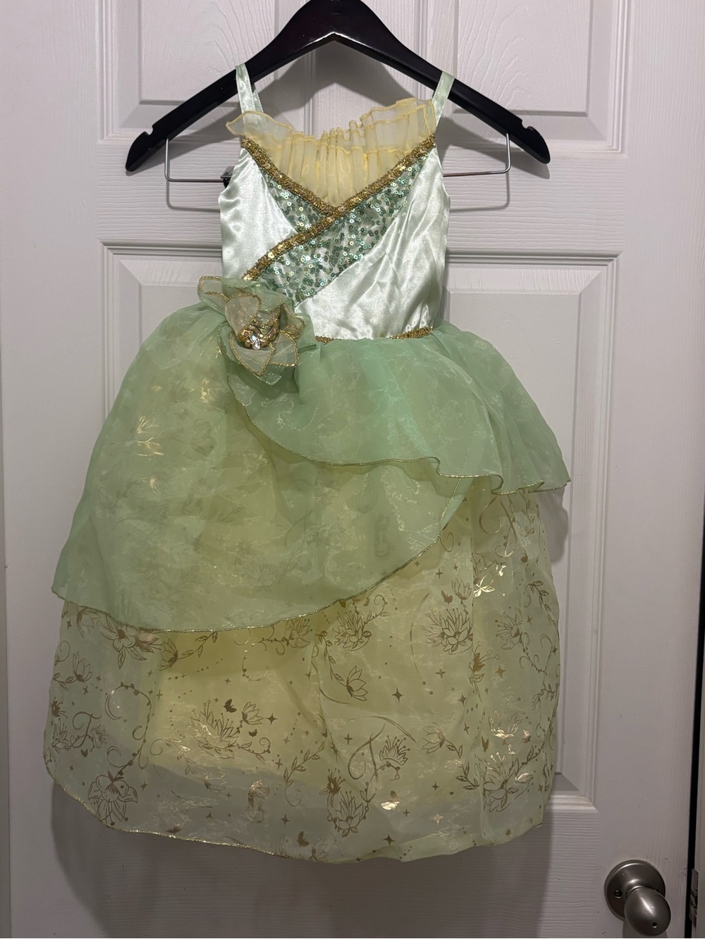 The Disney store Tiana dress